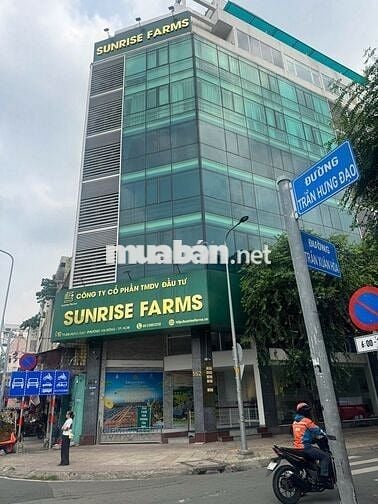 Cho Thuê Văn Phòng Quận 5 Mặt Tiền Trần Hưng Đạo (100-800m2)
