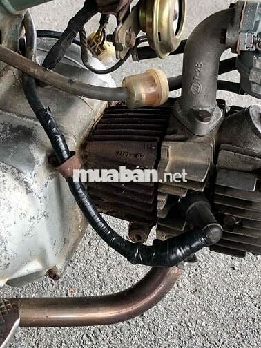 Cub 1980/50cc zin máy chưa chạm