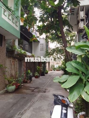 Bán nhà hẻm 359 Lê Văn Sỹ f12 q3 tiện xây mới