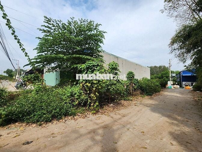 LÔ GÓC 346,7M2 MẶT TIỀN ĐX-14, PHƯỜNG TÂN VĨNH HIỆP, TÂN UYÊN, BD