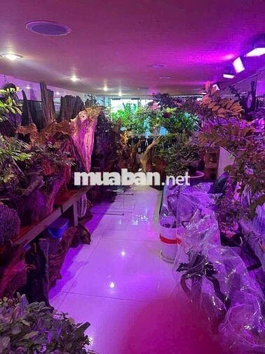 🏠 NHÀ MẶT TIỀN HUỲNH VĂN BÁNH – VỊ TRÍ ĐẸP, KINH DOANH ĐỈNH