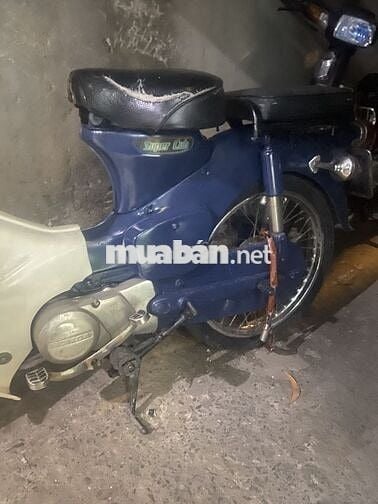 Honda Super Cub Xanh, Trắng