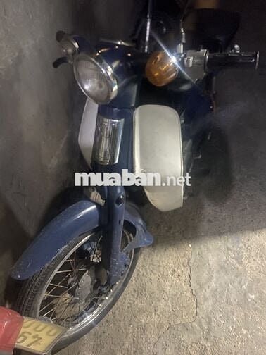 Honda Super Cub Xanh, Trắng