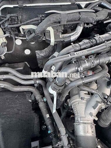 Ford Ranger Wildtrak 2022 Trắng 50000 km