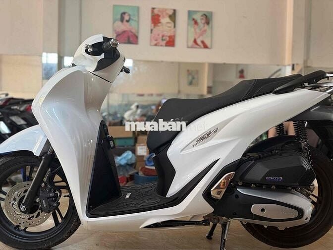 Honda SH Trắng