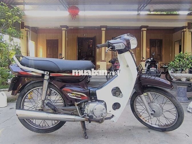 Honda Dream Tàu Nâu, Trắng