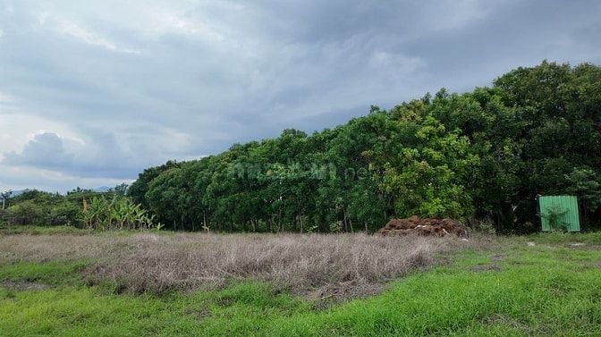 ĐẤT VƯỜN VIEW SUỐI 400M PHÙ HỢP NGHỈ DƯỞNG, SINH THÁI CÁCH ĐÀ LẠT 50KM