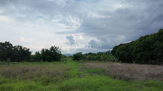 ĐẤT VƯỜN VIEW SUỐI 400M PHÙ HỢP NGHỈ DƯỞNG, SINH THÁI CÁCH ĐÀ LẠT 50KM