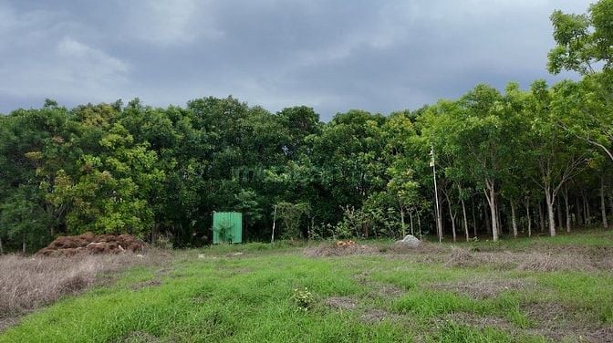 ĐẤT VƯỜN VIEW SUỐI 400M PHÙ HỢP NGHỈ DƯỞNG, SINH THÁI CÁCH ĐÀ LẠT 50KM