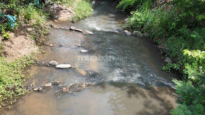 ĐẤT VƯỜN VIEW SUỐI 400M PHÙ HỢP NGHỈ DƯỞNG, SINH THÁI CÁCH ĐÀ LẠT 50KM