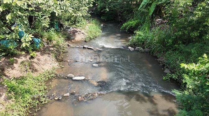 ĐẤT VƯỜN VIEW SUỐI 400M PHÙ HỢP NGHỈ DƯỞNG, SINH THÁI CÁCH ĐÀ LẠT 50KM