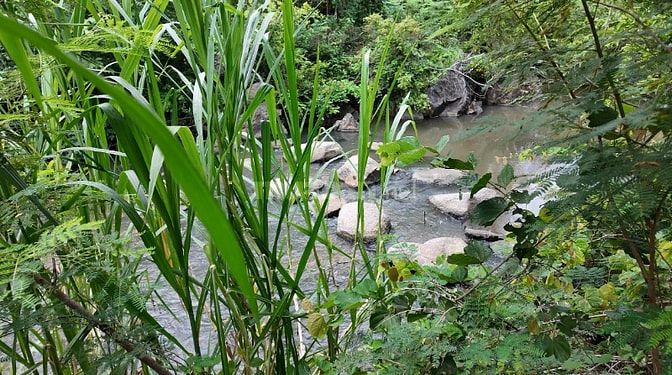 ĐẤT VƯỜN VIEW SUỐI 400M PHÙ HỢP NGHỈ DƯỞNG, SINH THÁI CÁCH ĐÀ LẠT 50KM