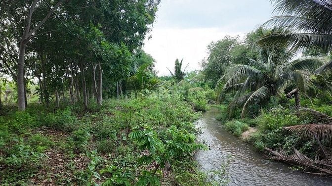 ĐẤT VƯỜN VIEW SUỐI 400M PHÙ HỢP NGHỈ DƯỞNG, SINH THÁI CÁCH ĐÀ LẠT 50KM