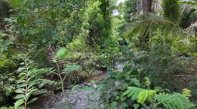 ĐẤT VƯỜN VIEW SUỐI 400M PHÙ HỢP NGHỈ DƯỞNG, SINH THÁI CÁCH ĐÀ LẠT 50KM