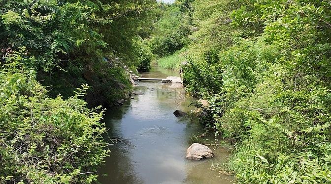 ĐẤT VƯỜN VIEW SUỐI 400M PHÙ HỢP NGHỈ DƯỞNG, SINH THÁI CÁCH ĐÀ LẠT 50KM