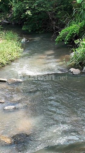 ĐẤT VƯỜN VIEW SUỐI 400M PHÙ HỢP NGHỈ DƯỞNG, SINH THÁI CÁCH ĐÀ LẠT 50KM
