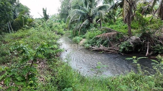ĐẤT VƯỜN VIEW SUỐI 400M PHÙ HỢP NGHỈ DƯỞNG, SINH THÁI CÁCH ĐÀ LẠT 50KM