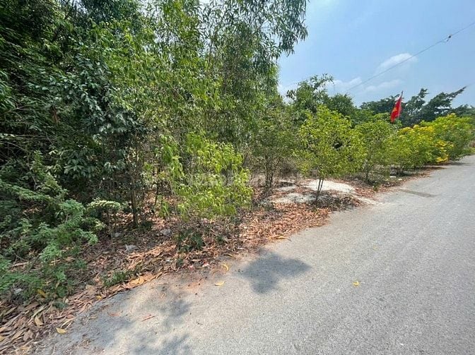 CHÍNH CHỦ BÁN ĐẤT TÂN THÀNH 36 – 408m² FULL THỔ CƯ – ĐƯỜNG NHỰA ĐẸP