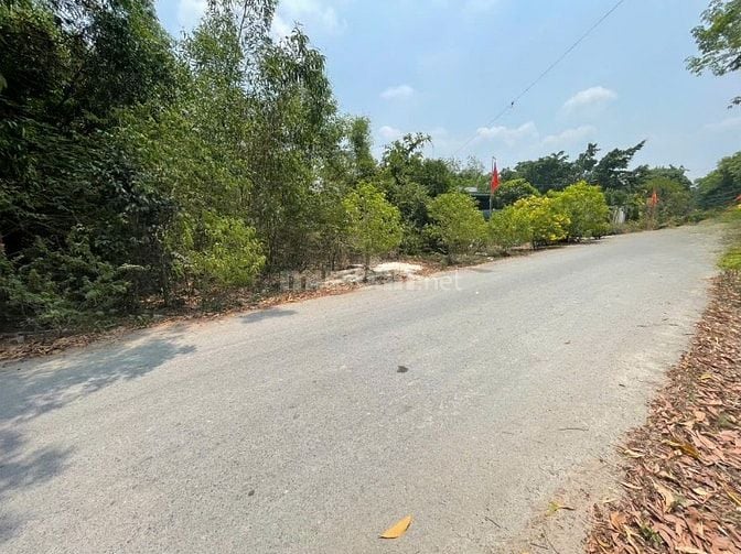 CHÍNH CHỦ BÁN ĐẤT TÂN THÀNH 36 – 408m² FULL THỔ CƯ – ĐƯỜNG NHỰA ĐẸP