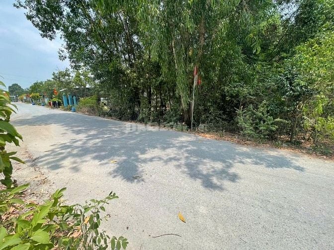 CHÍNH CHỦ BÁN ĐẤT TÂN THÀNH 36 – 408m² FULL THỔ CƯ – ĐƯỜNG NHỰA ĐẸP