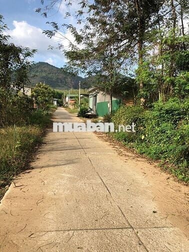 🔥 CẦN TIỀN BÁN NHANH MẢNG ĐẤT THỔ CƯ 1.260M2 – 23X55 – GIÁ CHỈ 2TỶ3