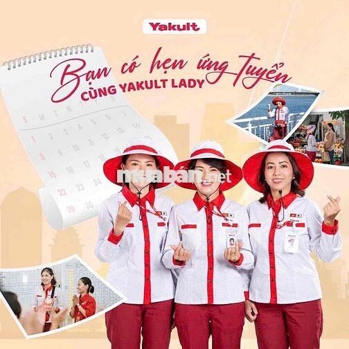 Tuyển dụng CTV Bán sữa uống lên men Yakult