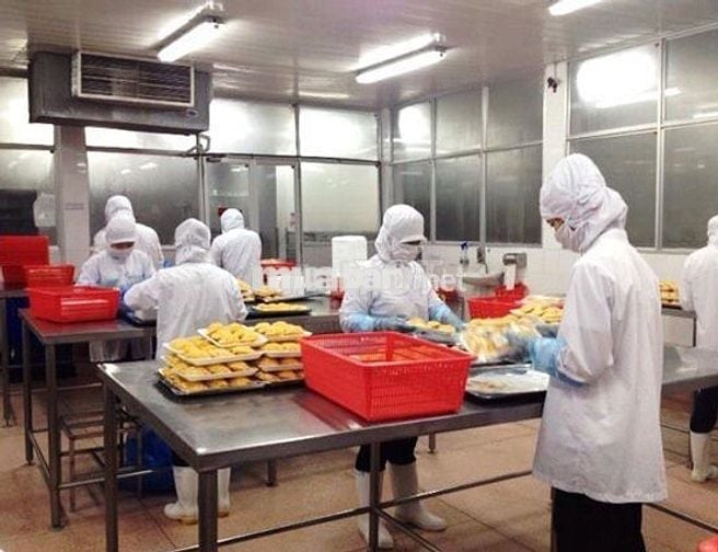 TUYỂN CÔNG NHÂN ĐÓNG GÓI NAM - NỮ - KCN VĨNH LỘC 