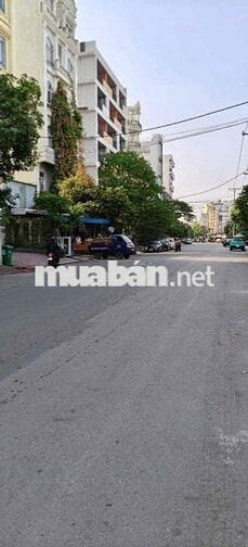 Bán MTKD Cao Thị Chính, Phú Thuận, Quận 7, 7mx9m, giá nhỉnh 4 tỉ