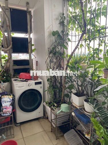 Bán căn chung cư 2PN, 2WC tại Khu đô thị Đặng Xá - 3,75 tỷ, 70m2
