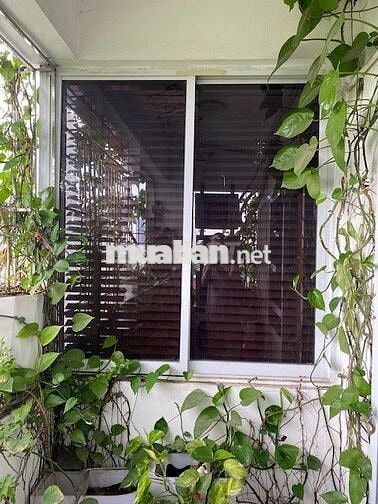 Bán căn chung cư 2PN, 2WC tại Khu đô thị Đặng Xá - 3,75 tỷ, 70m2