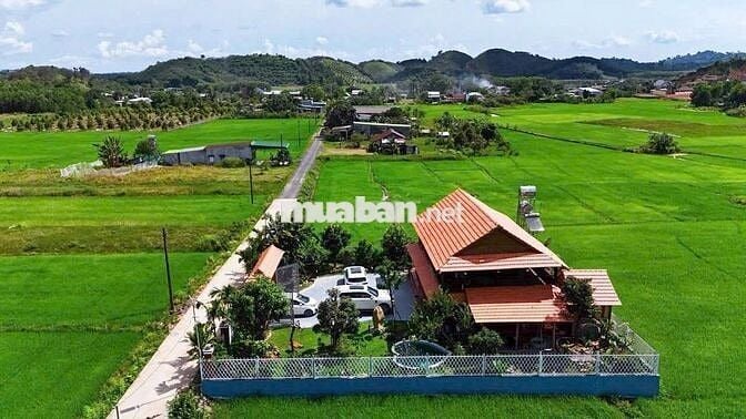 🌿 ĐẤT THỔ CƯ ĐẠ TẺH VIEW NÚI - VIEW RUỘNG | CHỈ TỪ 2XX TRIỆU