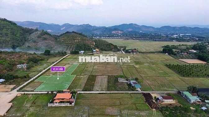 🌿 ĐẤT THỔ CƯ ĐẠ TẺH VIEW NÚI - VIEW RUỘNG | CHỈ TỪ 2XX TRIỆU