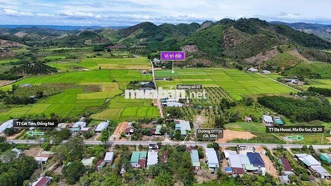 🌿 ĐẤT THỔ CƯ ĐẠ TẺH VIEW NÚI - VIEW RUỘNG | CHỈ TỪ 2XX TRIỆU