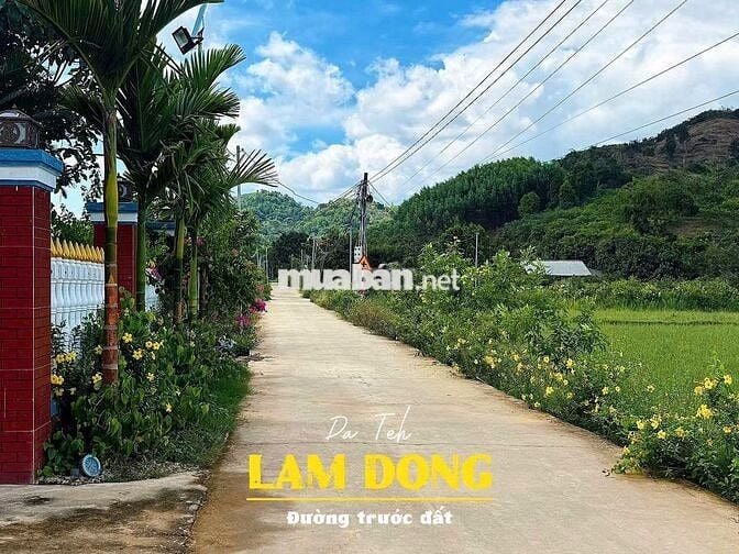 🌿 ĐẤT THỔ CƯ ĐẠ TẺH VIEW NÚI - VIEW RUỘNG | CHỈ TỪ 2XX TRIỆU