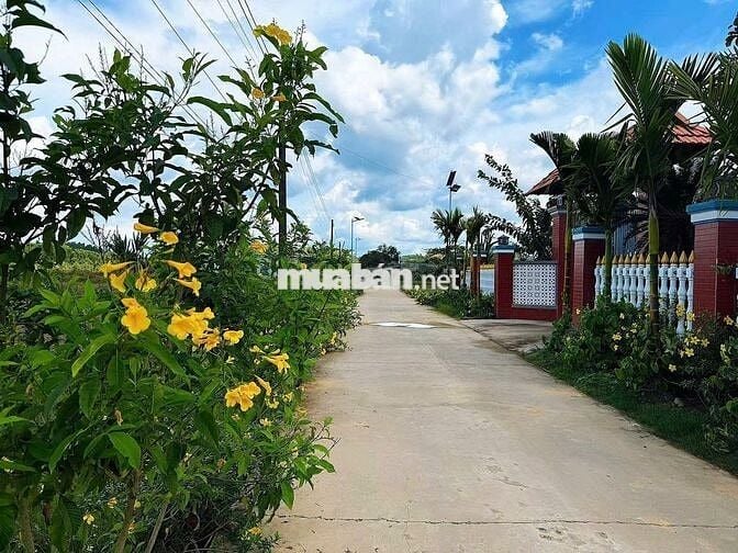 🌿 ĐẤT THỔ CƯ ĐẠ TẺH VIEW NÚI - VIEW RUỘNG | CHỈ TỪ 2XX TRIỆU