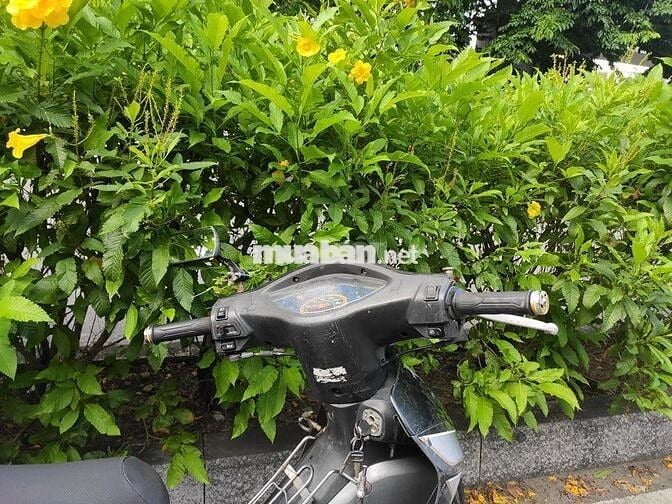 Wave S100 nguyên rin, bình xăng rin còn, rất bền
