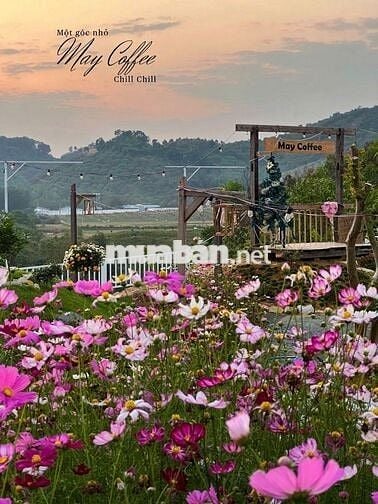 🌿 ĐẤT THỔ CƯ ĐẠ TẺH VIEW NÚI - VIEW RUỘNG | CHỈ TỪ 2XX TRIỆU