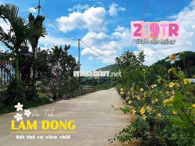 🌿 ĐẤT THỔ CƯ ĐẠ TẺH VIEW NÚI - VIEW RUỘNG | CHỈ TỪ 2XX TRIỆU