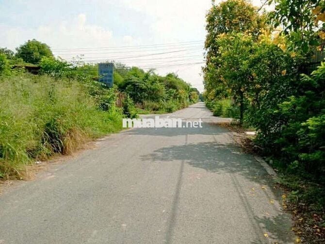 Bán đất Phú An, Bến Cát, Bình Dương