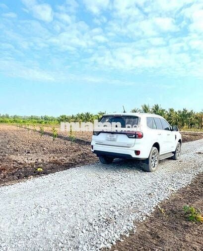 Quá ngộp, chỉ 440tr sở hữu 1000m² đất vườn xoài cực đẹp