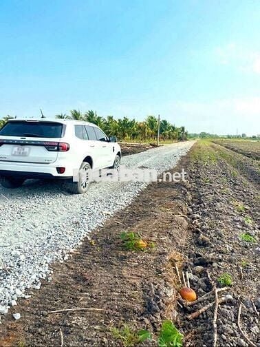 Quá ngộp, chỉ 440tr sở hữu 1000m² đất vườn xoài cực đẹp