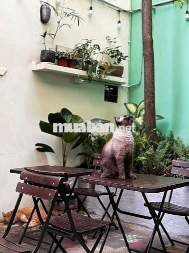Nhân viên nam quán cafe bao ăn ở quận 1