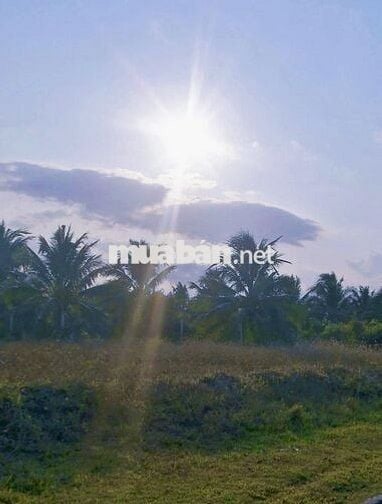 🔥 BÁN ĐẤT CHÍNH CHỦ – 02 LÔ THỔ CƯ ĐẸP | NINH HÒA, KHÁNH HÒA