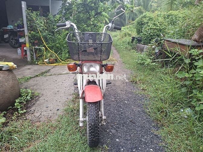 Honda Chaly 1981 Đỏ Đã sử dụng