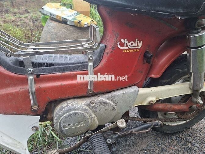 Honda Chaly 1981 Đỏ Đã sử dụng