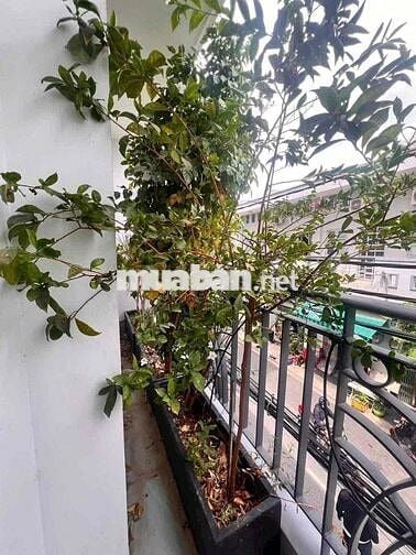 cho thuê nhà mặt tiền kinh doanh