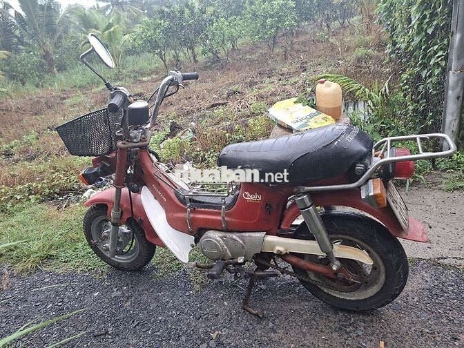 Honda Chaly 1981 Đỏ Đã sử dụng