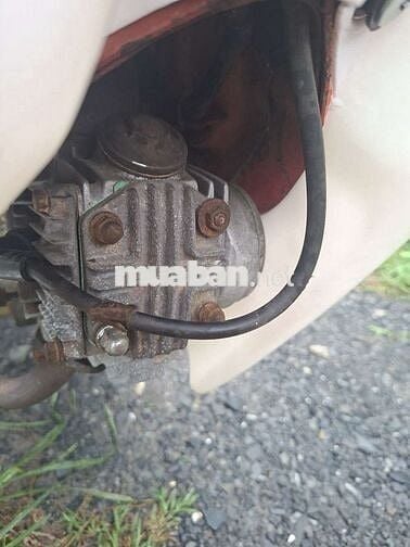 Honda Chaly 1981 Đỏ Đã sử dụng