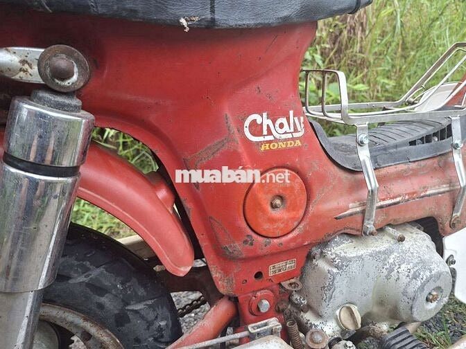 Honda Chaly 1981 Đỏ Đã sử dụng