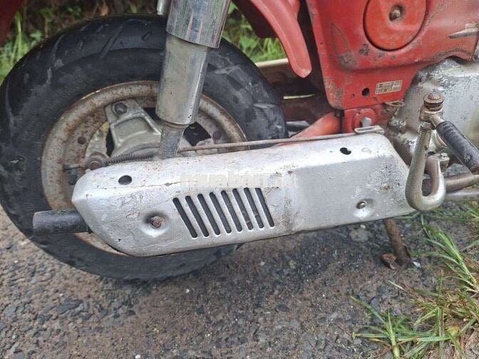 Honda Chaly 1981 Đỏ Đã sử dụng